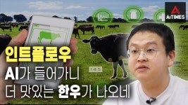 AI가 들어가니 더 맛있는 한우가 나오네