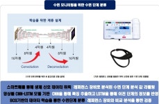 [2021 광주 AI 기업 결산] ③ 인력난 호소하던 AI 기업들, 인재 양성에 직접 나서 성과 톡톡