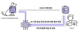 SKT, AI 동물영상진단 보조서비스 출시