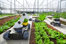 국가 로봇 테스트필드에 2000억 지원...예비타당성조사 통과