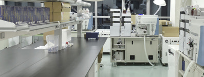 [국내주요도시 AI투자] ③실리콘밸리 경기도·메디시티 대구 