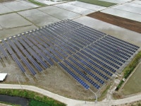 [기획]영농형태양광으로 농가소득·탄소중립 가능