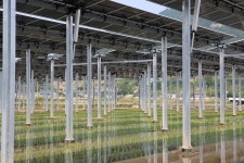 정부, 재생에너지 전환 본격화…태양광 R&D 기획단 출범