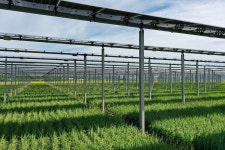 영광군, 영농형 태양광 발전단지 장관상 수상