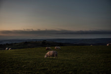 Splintered Isle: A Journey Through Brexit Britain