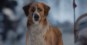 ‘Call of the Wild’ Casts a Digital Star. Is He a Good Dog?