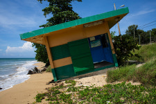A Turtle, a Pool and the Fight to Save Puerto Rico’s Beaches