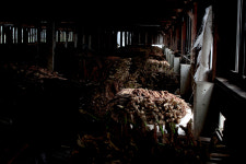 Saving the Forgotten Connecticut Farm That Helped Spark M.L.K.’s Dream