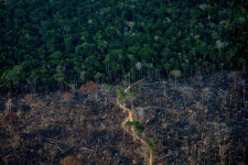 Negotiators Strike a Climate Deal, but World Remains Far From Limiting Warming