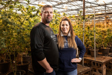 How Oklahoma Became a Marijuana Boom State