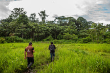 In the Amazon, a U.N. Agency Has a Green Mission, but Dirty Partners