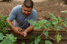 On Remote Farms and in City Gardens, a Native American Movement Grows