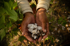 Battered by Floods and Trapped in Debt, Pakistani Farmers Struggle to Survive