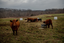 Few Smartphones, Some Beer: A Christian Village Grapples With Modernity