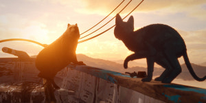 ‘Flow’ Review: A Cat’s Life