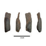 430,000-Year-Old Wooden Tools Are the Oldest Ever Found