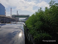 여수산단로 밀림도로....사고나면 대형참사