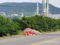 여수산단로 밀림도로....사고나면 대형참사