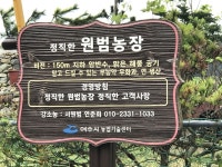 무화과 익을 무렵에 만나보는 귀촌 멘토