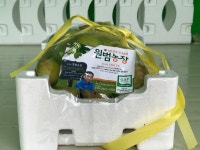 무화과 익을 무렵에 만나보는 귀촌 멘토