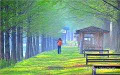 선광여행사전라남도지점주 | 전남 버스여행상품 '남도한바퀴' 새 코스 선보여