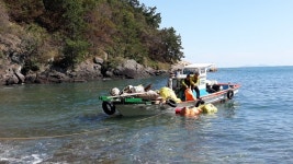 자연을 보듬는 사람들, 다도해해상국립공원 봉사자