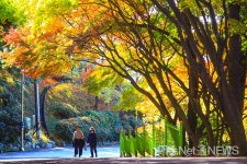 [사진] 2019가을 끝, 여수 자산공원