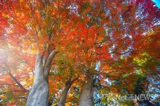 [사진] 2019가을 끝, 여수 자산공원