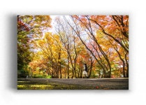 [축하사진] 여수 자산공원 풍경