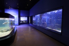 해양수산과학원, 전남 으뜸 수산물 알린다