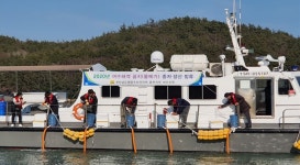 여수 화양면 해역에 어린 꼼치 방류