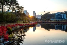 [사진뉴스] 웅천 저수지와 철쭉