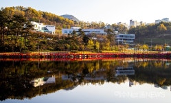 [사진뉴스] 웅천 저수지와 철쭉