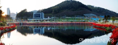 [사진뉴스] 웅천 저수지와 철쭉