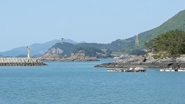 화양면 조화대교∼고흥군 팔영대교 시내버스 시간표 변경 운행