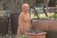 정원의 최대 위기