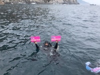 거문도에서 해양정화활동과 섬복지활동 펼쳐