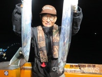 코로나에도 갈치는 만선, 한번 나가면 쿨러 가득