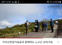 Naver search result photo 5