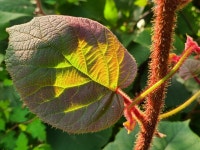 진짜 공부는 무엇일까