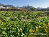 여수시 가족 텃밭 신청자 접수