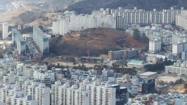 사라져간 문수동의 허파