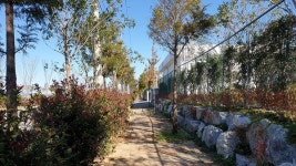 여수산단로에 미세먼지 차단숲 조성