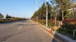 여수산단로에 미세먼지 차단숲 조성