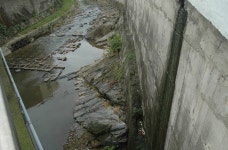 하구바구와 자리바구를 아시나요