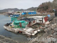 실망스러운 여수시의회 돌산난개발조사위 결과보고