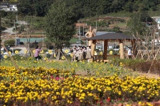 옛 돌산중앙초교, 공감쉼터로 재탄생