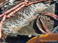 여수산단 오리온카본즈 기름유출 사고, 늦장대처로 상암천 오염