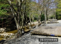 푸르른 5월, 전남 캠핑장서 힐링하세요
