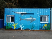 확 달라진 월호도! 해안도로 야생화길 탄생